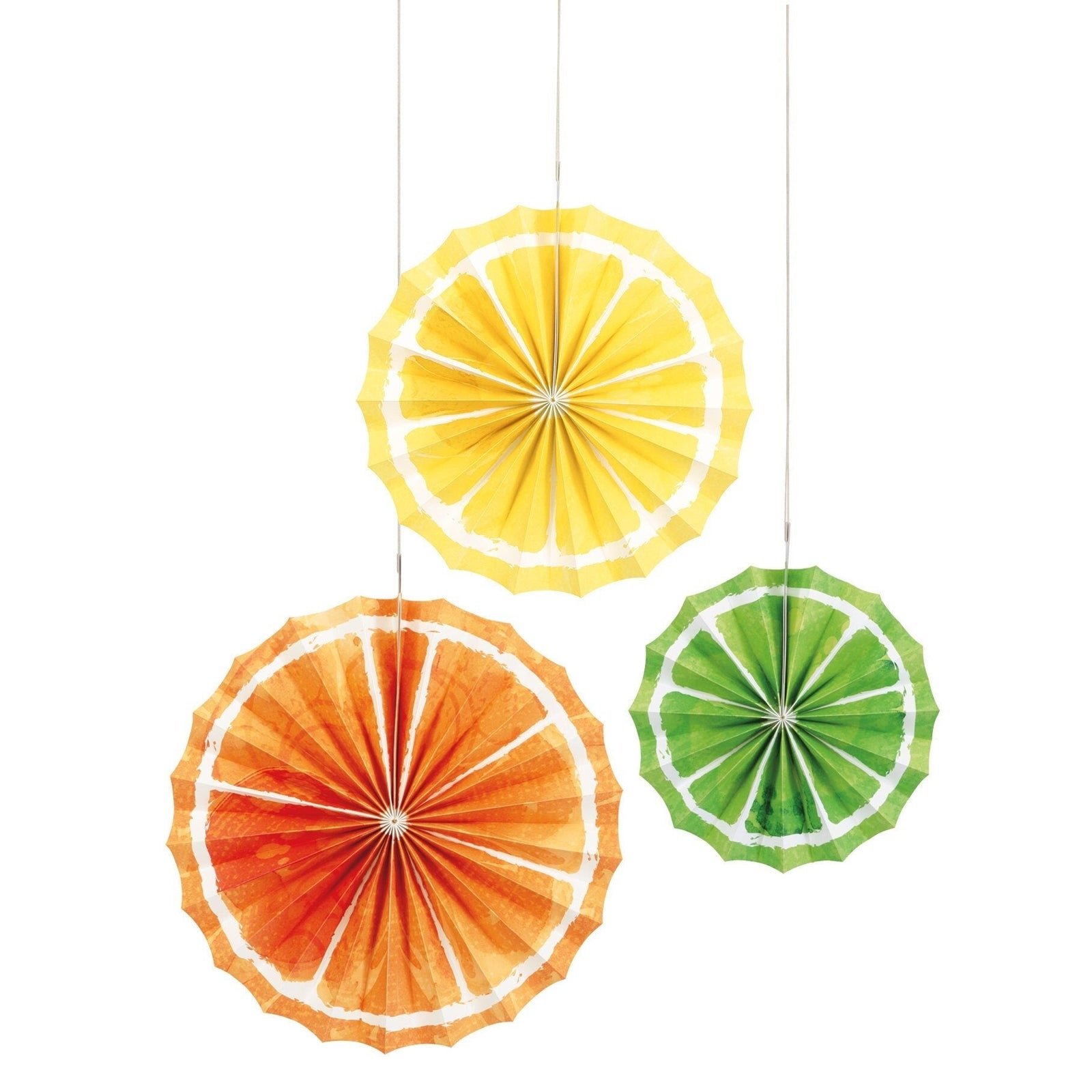 Citrus Party Paper Fans - Stesha Party