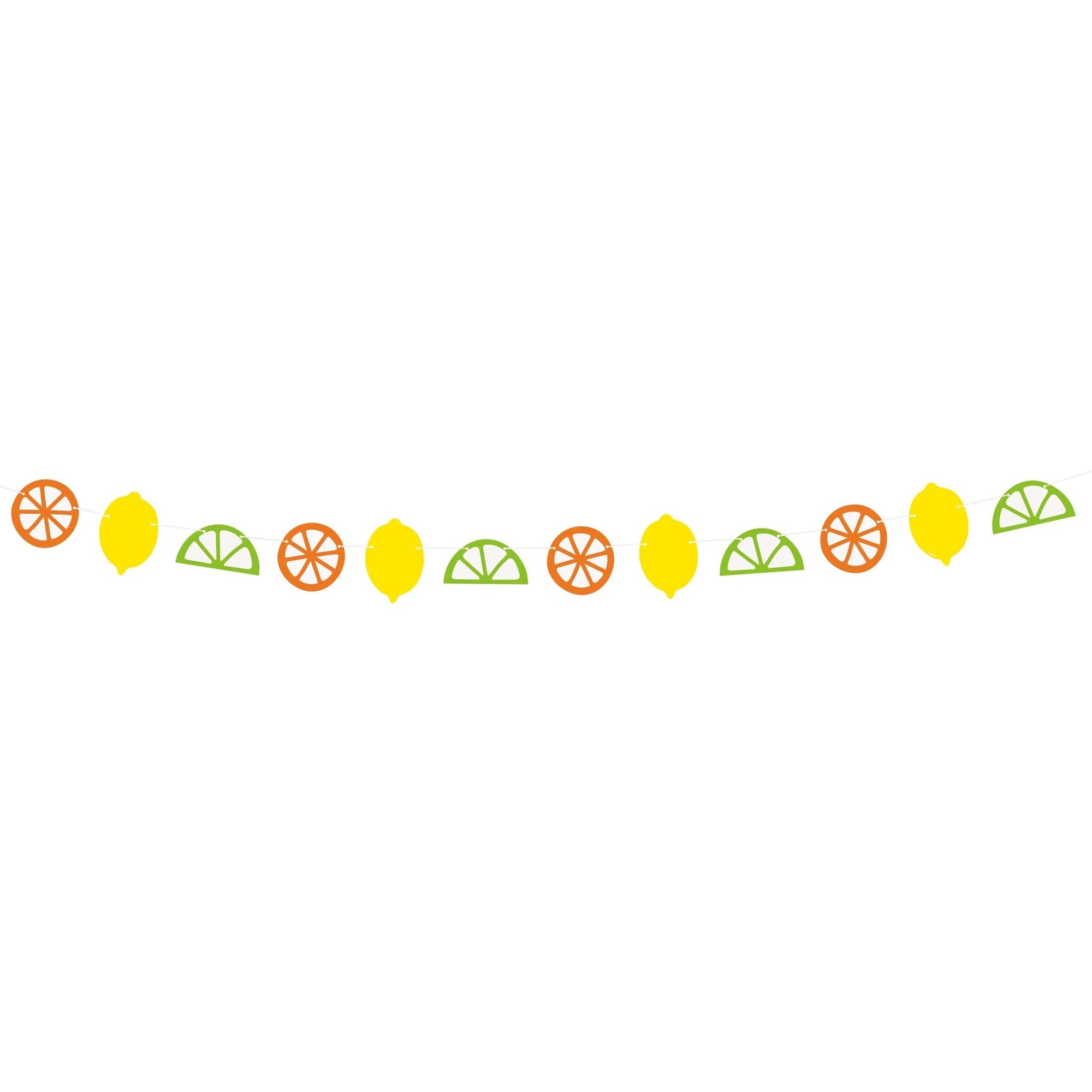 Citrus Themed Party Banner - Stesha Party