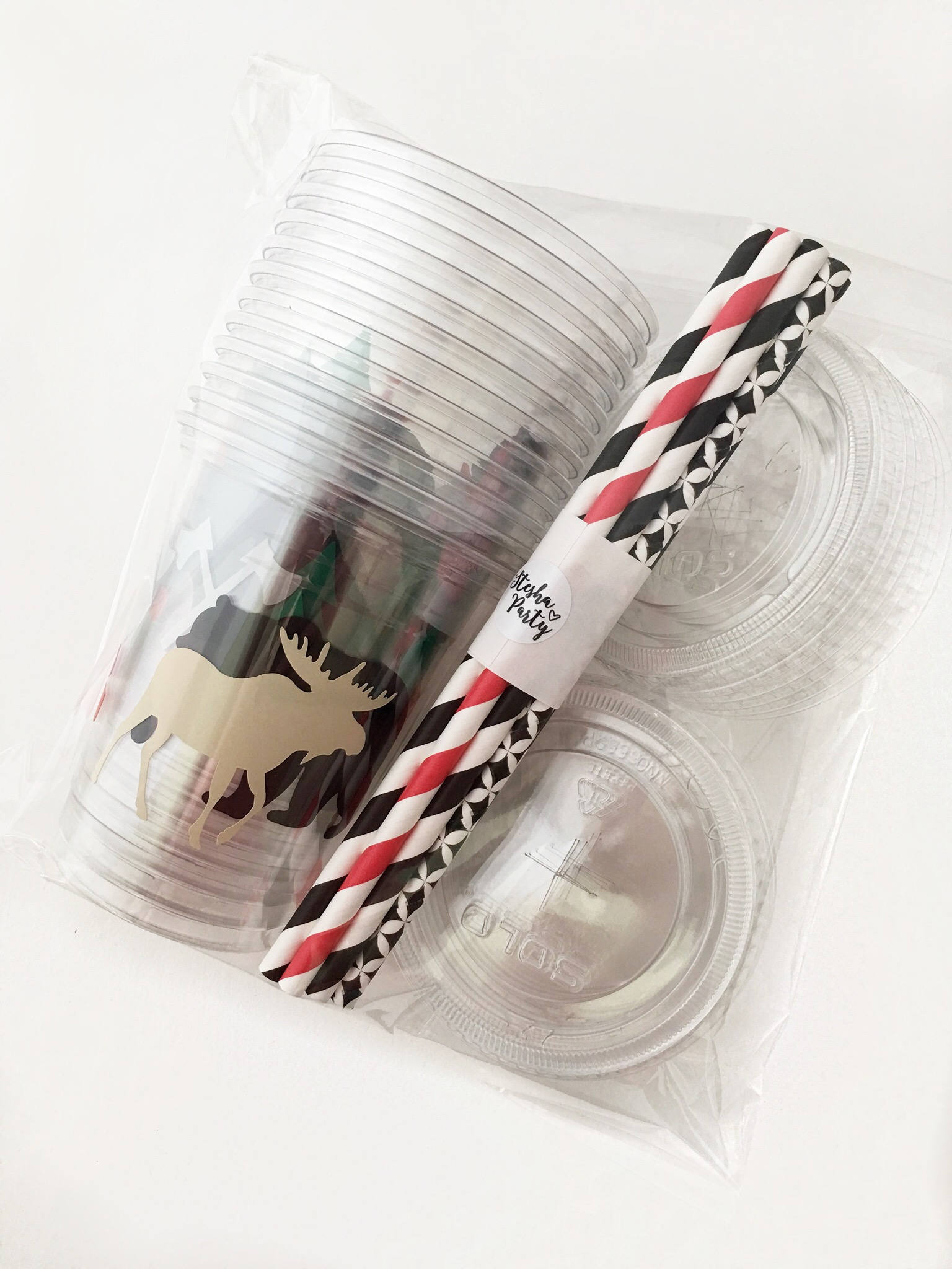 Clear Lidded Lumberjack Party Cup Set - Stesha Party