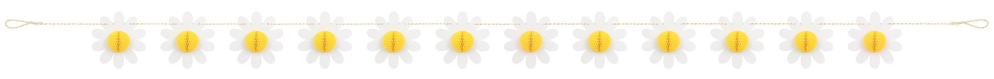 Daisy Party Banner - Stesha Party