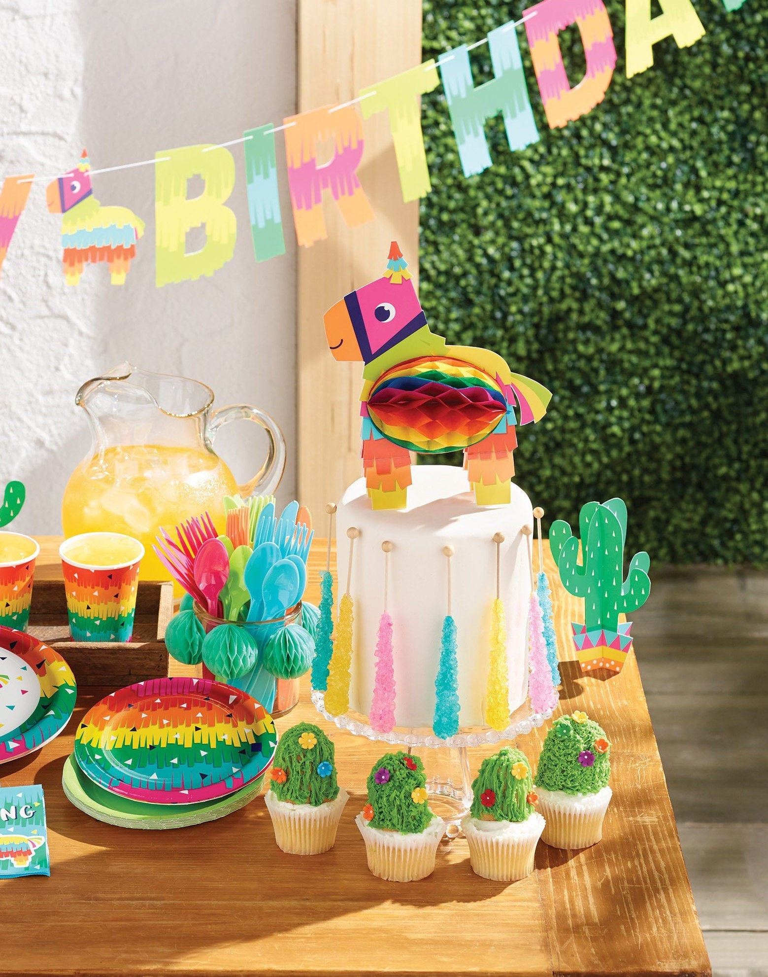 Fiesta Party Donkey & Cactus Centerpiece - Stesha Party