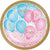 Gender Reveal Party Plates - Stesha Party