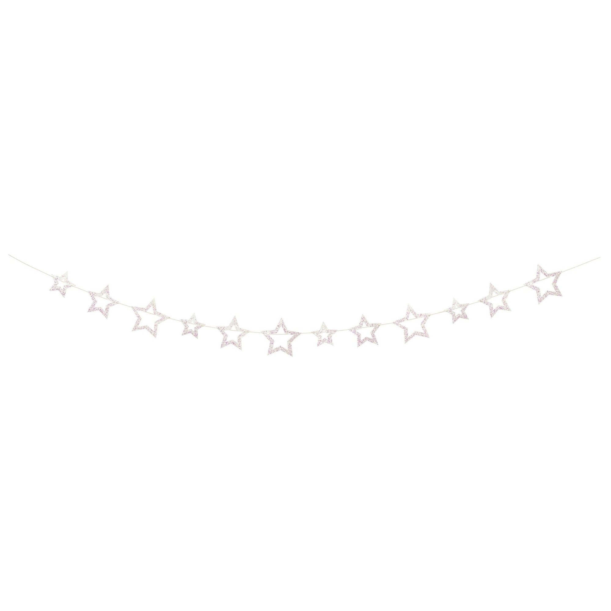 Iridescent Star Party Banner - Stesha Party