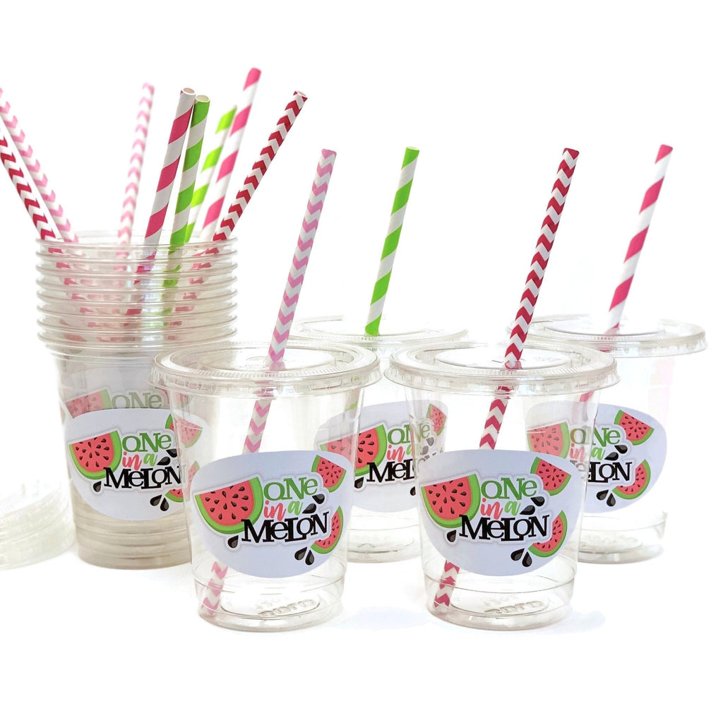 Fiesta Cactus Party Cups with Lids & Straws - Stesha Party - Boy Baby  Shower, cinco de mayo, cup