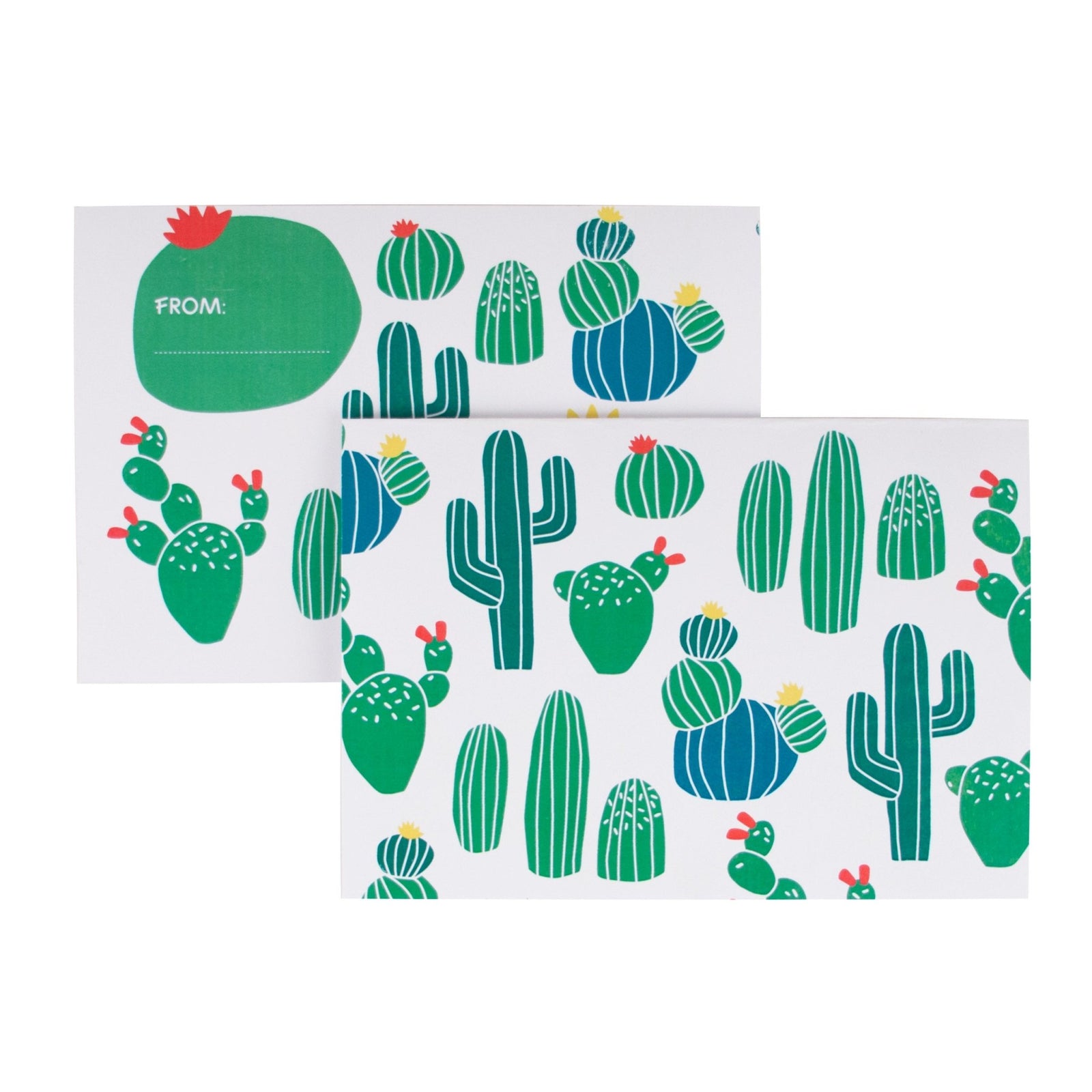 Southwestern Cactus Party Invitations - Stesha Party