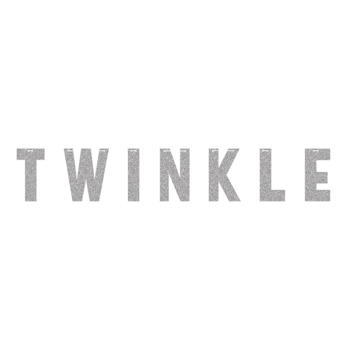 &quot;Twinkle&quot; Silver Glitter Banner - Stesha Party