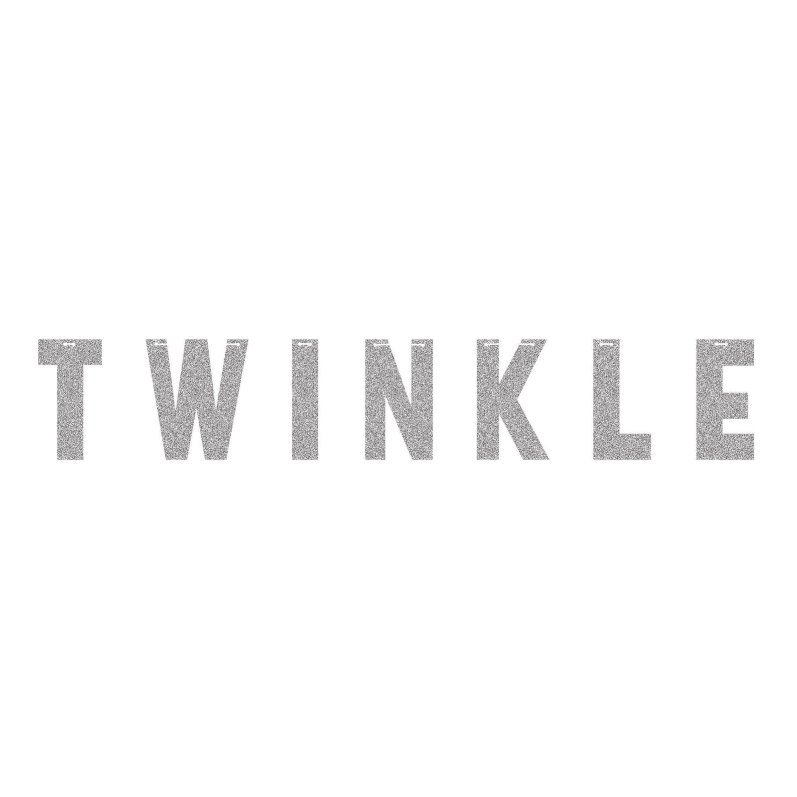 "Twinkle" Silver Glitter Banner - Stesha Party