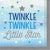 Twinkle Twinkle Little Star Napkins - Stesha Party