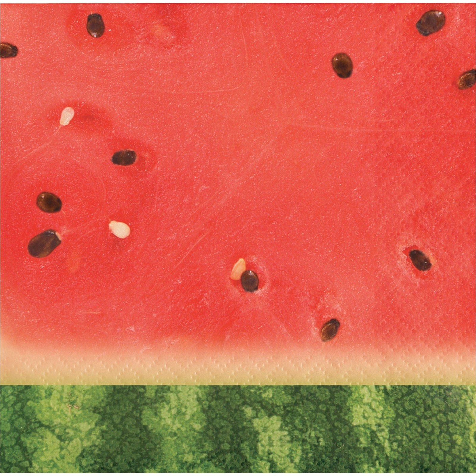 Watermelon Party Beverage Napkins - Stesha Party