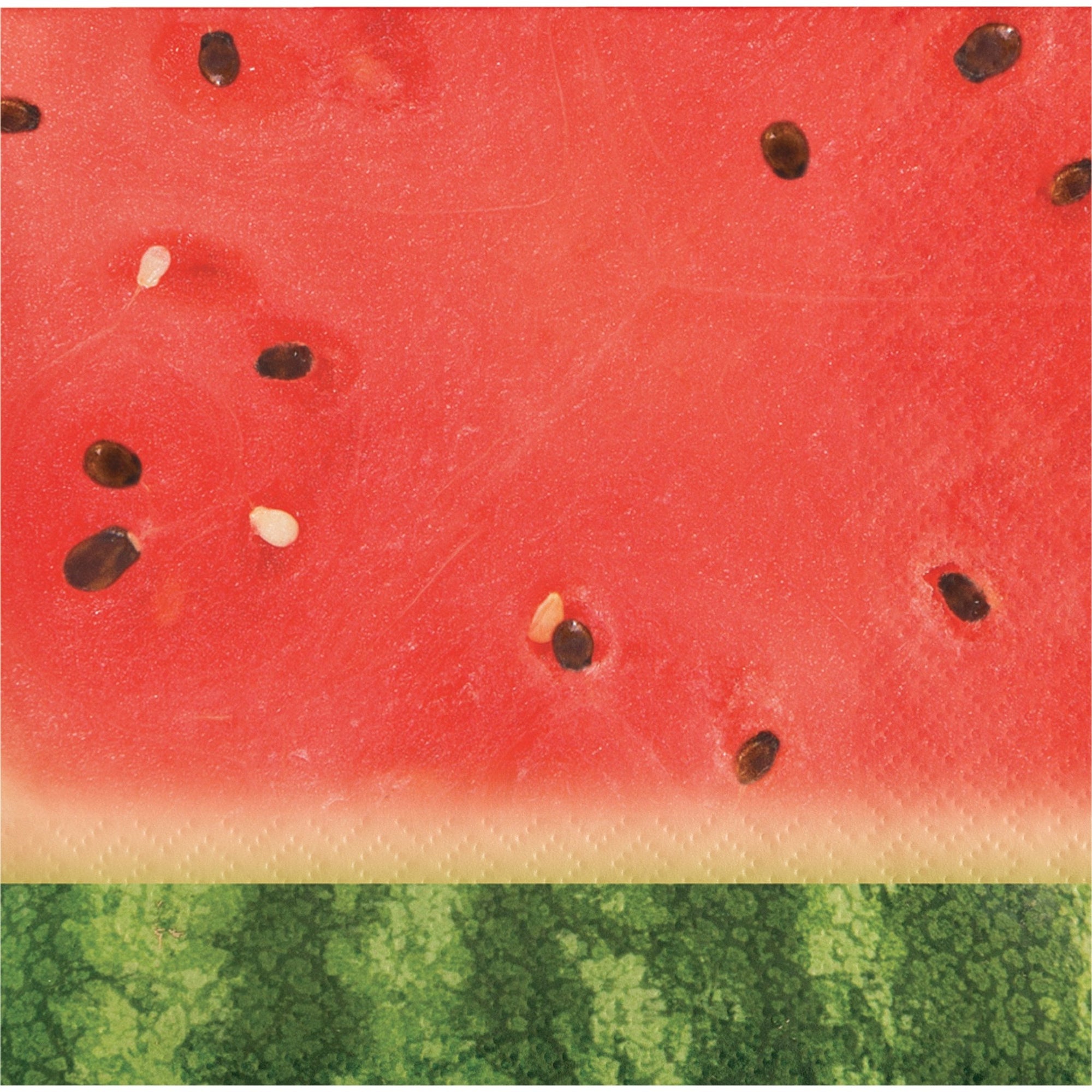 Watermelon Party Beverage Napkins - Stesha Party